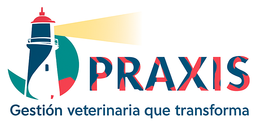 praxis 900 x 400
